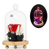 Babali Forever Preserved Rose RGB LED Decor 100 % Real Natural Handmade Live EnchantedローズinガラスドームInd
