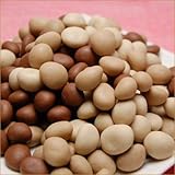 【訳ありチョコレート】 不揃いマカダミアショコラ一キロ