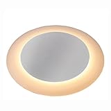 タカショー HCD-D01S リングフラットライト (電球色)