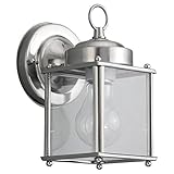 Sea Gull Lighting 8592-965 Single-Light Outdoor Wall Lantern with Clear Glass, Antique Brushed Nicke