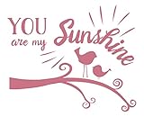 壁装飾Plus More wdpm3765 You Are My Sunshine鳥とブランチグラフィックスfor Kids部屋壁アートデカールステッカー、28 x 23インチ、リップスティックピンク