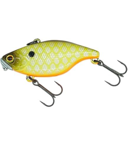 ディスタイル　イチリン Amazon.co.jp: ディスタイル(Dstyle) ICHIRIN(イチリン) 70F DS