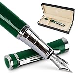 ワーズワース & ブラック 万年筆セット 中字 インクカートリッジ24本とインク詰め替えコンバーター付き ギフトケース ジャーナリング カリ