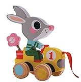 Djeco Pull Along Toy - Roulapic