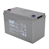 FIAMM 清掃機 業務用掃除機 エレカ用 バッテリー 12SPX100