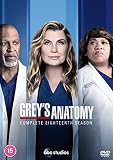 Grey's Anatomy: Complete Eighteenth Season [Region 2]