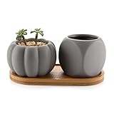 Rachel's Choice 陶器鉢 ダイス形＆パンプキン形 多肉植物、サボテン鉢 トレイ付き マットグレー