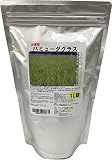 西洋芝種子 バミューダグラス 種子1L詰