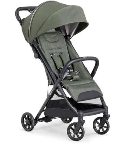 Amazon.co.jp: Inglesina QUID2α イングリッシーナ クイッド2α 【日本