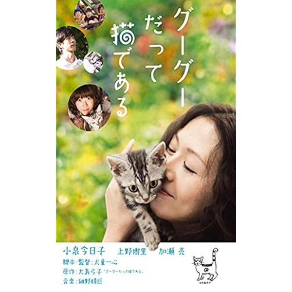 DVD 連続ドラマW グーグーだって猫である2 犬童一心監督】連続ドラマW グーグーだって猫である2 -good good