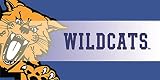 Team Sports America Kentucky Wildcats装飾マット挿入、10 x 22インチ