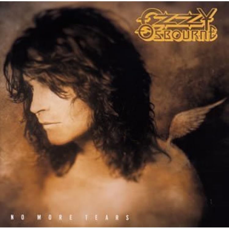 No Rest For The Wicked / オジー・オズボーン レコード No Rest For The Wicked / オジー・オズボーン レコード Amazon.com