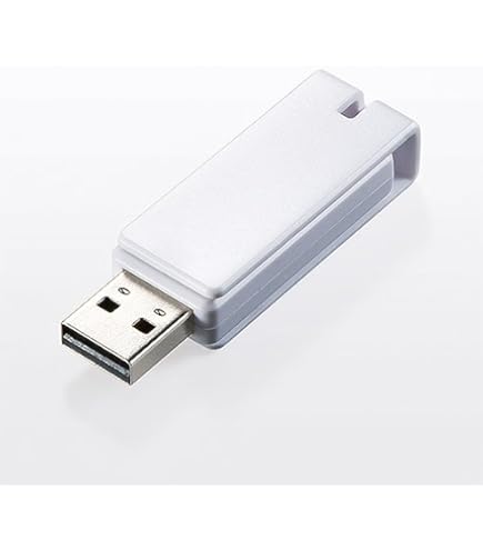 Amazon.co.jp: イーサプライ USBメモリ 4GB 紛失防止 ストラップ付き