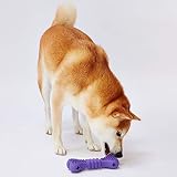 ペティオ (Petio)犬用おもちゃTREATS LOVER ボーン M