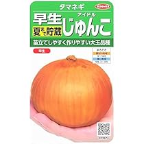 玉ねぎ苗　ももタウルス 玉ねぎ苗 ももタウルス Amazon.co.jp: 野菜種子 玉ねぎ 早生 夏まで