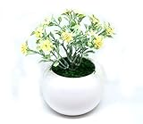 観葉植物 ミニ インテリア グリーン 造花 観葉植物 卓上観葉植物 かわいい ミニ 卓上ポット (イエロー２)