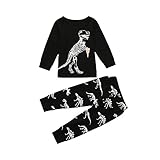 Tovadoo 子供服 男の子 トップス+ズボン 春新作 長袖 恐竜ピザ柄 兄弟揃い 可愛い プレゼント 通学 旅行 2-7歳
