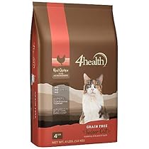 mini toy husky for sale