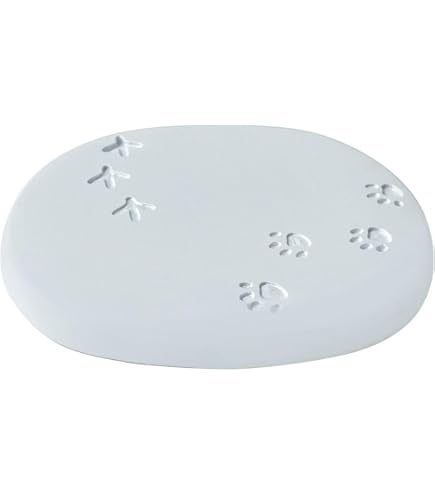 【ゆきんこさま】ご購入品 DECOLE デコレ コンコンブル / ねこずきん 雪ん子 2024