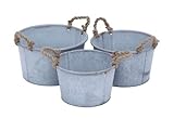 Plutus Brands Metal Planter with Antique Finish, Set of 3 [並行輸入品]