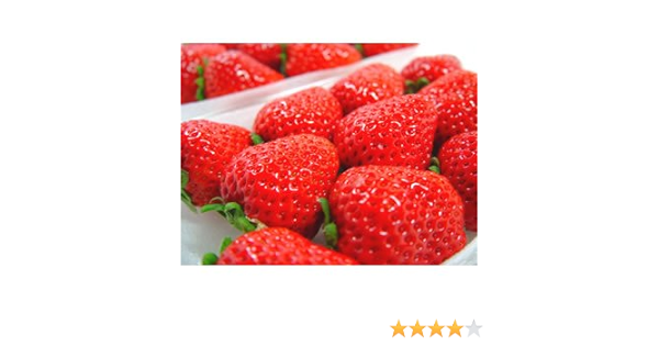 Amazon 熊本県産 いちご ひのしずく 14 22粒入り 果実庵 いちご 通販 Amazon 熊本県産 いちご ひのしずく 14 22粒入り 果実庵 いちご 通販