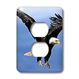 lsp _ 585 _ 6鳥 – Bald Eagle – 照明スイッチカバー – 2プラグコンセント