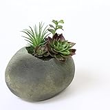 A plus floral art インテリアグリーン 石 盆栽 アレンジ 石粋（セキスイ） 多肉 造花 フェイクグリーン 苔 観葉植物 和風 和モダン