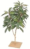 タカショー 【観葉植物・グリーンデコ和風】 ユズリハ 板付 90cm メンテが楽でリアルな人工植物 GD-11S