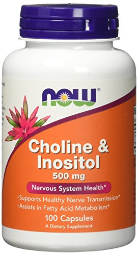 コリン＆イノシトール 500mg（海外直送品） [ヘルスケア&ケア用品]