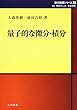 量子的な微分・積分 (量子数理シリーズ)