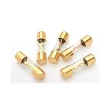 Xscorpion agu100g AGUヒューズ100 Amp 5パックゴールドXscorpion