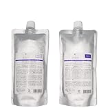 【Rusionセット】DEMI デミ フローディア シャンプー スリークライト 詰め替え 450ml & トリートメント 詰め替え 450g レフィル リニューアル版 FLOWDIA SLEEK LIGHTB
