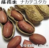落花生 苗 ナカテユタカ ピーナツ 9cmポット苗