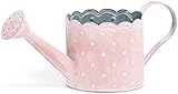 【ライナー付き】 BONBON Tin Pot ジョーロ型アレンジ L (26×11.5×12cm) 537-004P