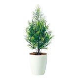エフプランター 人工観葉植物-ヒバ-70-6号鉢-RP185