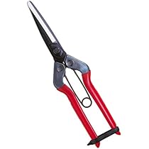 チカマサ　近正　青果鋏　ストッパーなし 31本セット 41WGvwHBA0L._AC_UL210_SR210,