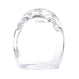 Dome-glass H100 泡とディンプル