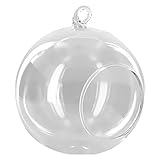 SunniMix 透明　ガラス　ボール形状　吊り下げ　水耕栽培　花瓶　ボトル　花器　部屋　庭　装飾