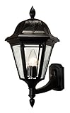 Special Lite Products Floral F-2947-BLK/BV Medium Bottom Mount Light, Black [並行輸入品]