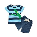 笑え熊 乳幼児 夏 キャラクター刺繍の半袖上着Tシャツ+ショートパンツ2枚セット 綿製 カジュアル 人気 普段着 1-5歳 キッズ おしゃれ