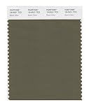 PANTONE SMART 18-0521X Color Swatch Card, Burnt Olive [並行輸入品]
