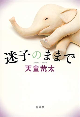 天童荒太:迷子のままで