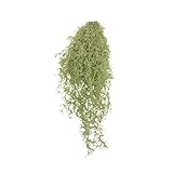 Prom-nooting MW17697 人工花 エアーハンギングブドウ/チャンテン 壁掛け 家の装飾 結婚式の壁/植物の壁の偽の花