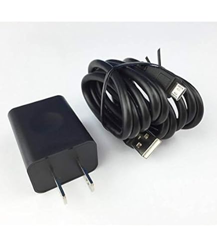 Icom IC-R6 トランシーバー + BC-196 アダプター BC-196 （BC196） バッテリーチャージャーACアダプター/IC-R6