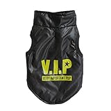 First Things : BEST(2CD+1DVD SET)