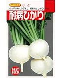 耐病ひかり タキイ種苗のカブ種です