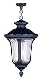 Livex Lighting 7865-04 Oxford 3 Light Outdoor Chain Hang, Black [並行輸入品]