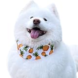 クールネック 犬 2025年モデル 全20柄 夏 暑さ対策 ひんやり リード穴付き 保冷剤付属 首 裏生地防水 アルミ フレンチブルドック フレブル クールスヌード おしゃれ スイカ 熱中症予防 小型犬 中型犬 大型犬 KM882G (XLサイズ, Fパイナップル)