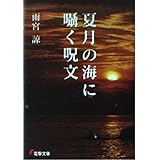 夏月の海に囁く呪文 (電撃文庫 あ 17-4)