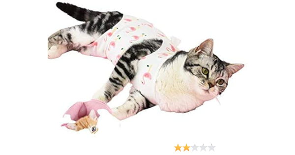 Amazon 369 猫犬用術後ウェア 傷口保護 術後傷舐め防止 エリザベスカラー代用 避妊手術 皮膚保護 衛生保護 猫犬用術後腹巻 L 369 エリザベスカラー 通販